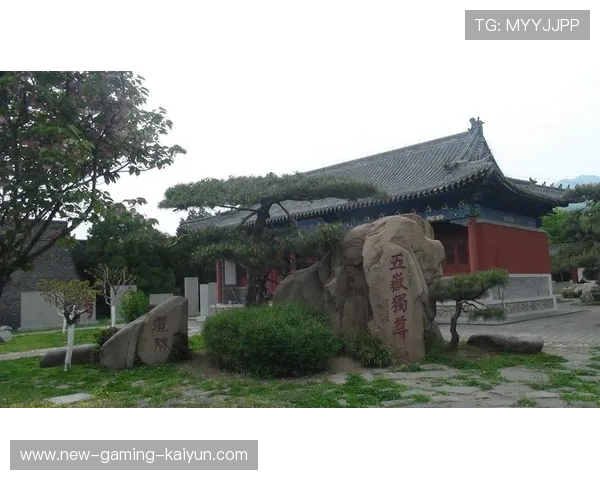 山东泰山在最后阶段的推进显得更具侵略性