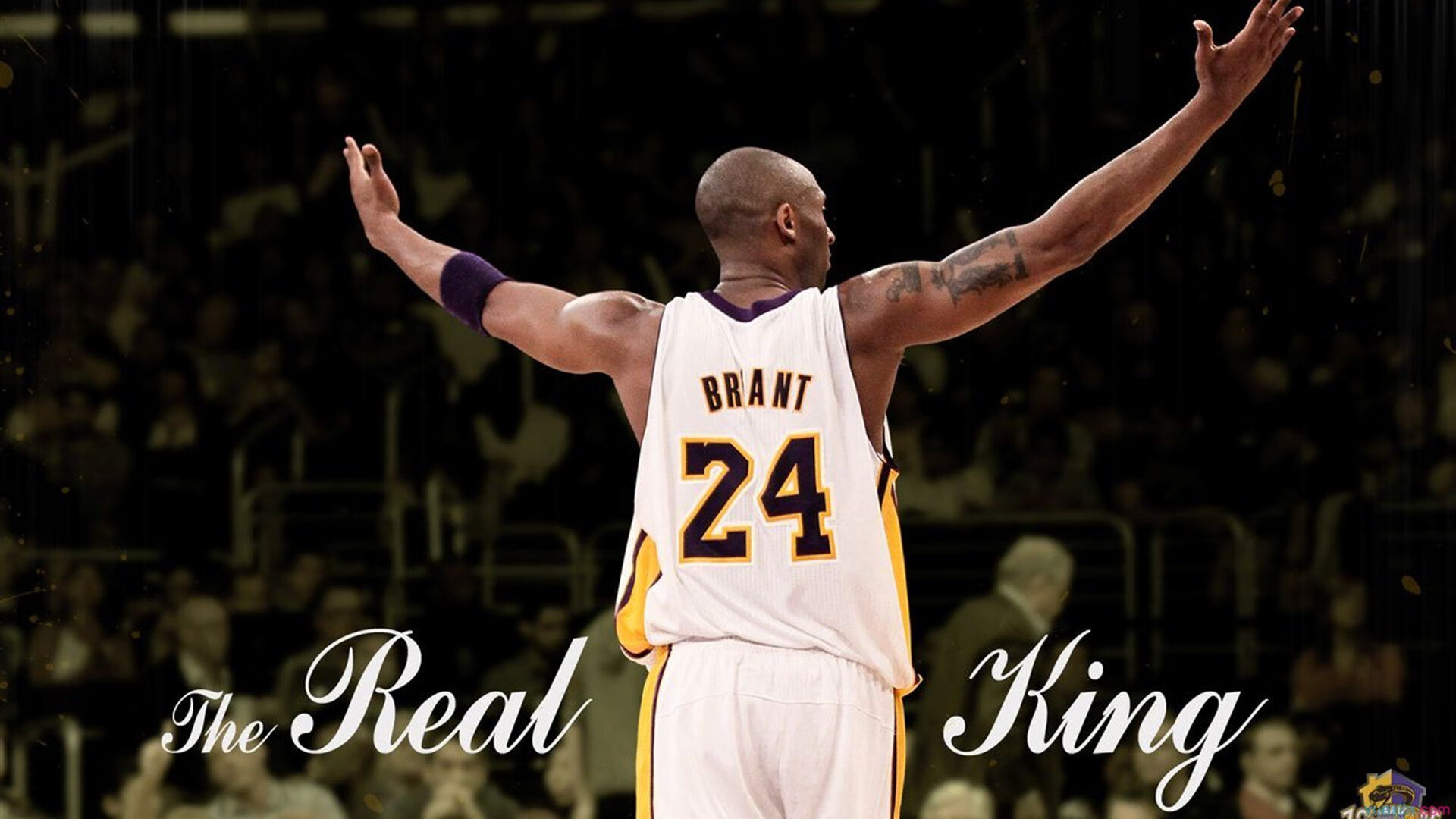 板球室内联赛小场地规则增加比赛节奏感